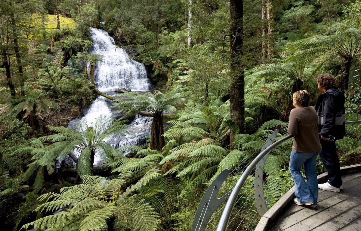 The perfect trail: Your ultimate guide to Melbourne’s best hiking and biking routes